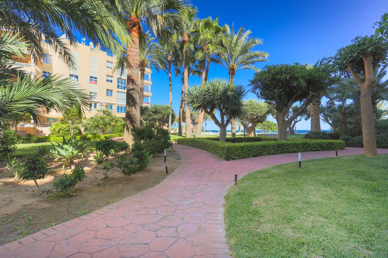 Ample 3 bedroom penthouse with fabulous sea views in Playa d'en Bossa